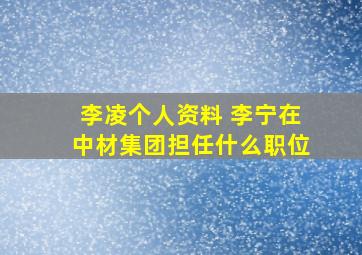 李凌个人资料 李宁在中材集团担任什么职位